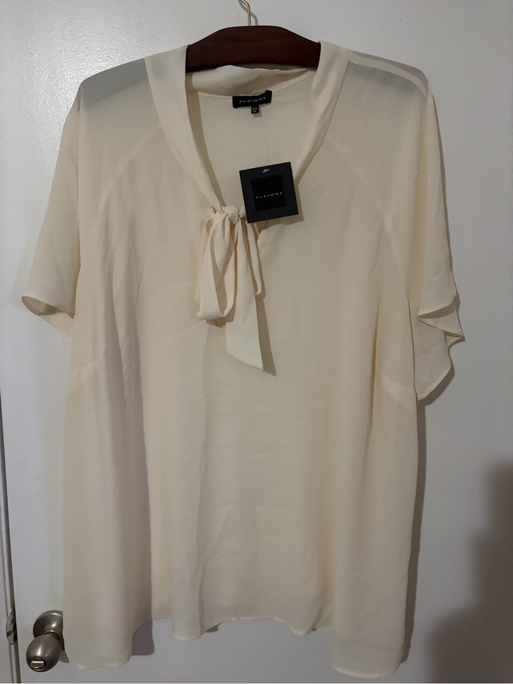 Pleione Cream Tie-Neck Short Sleeve Blouse